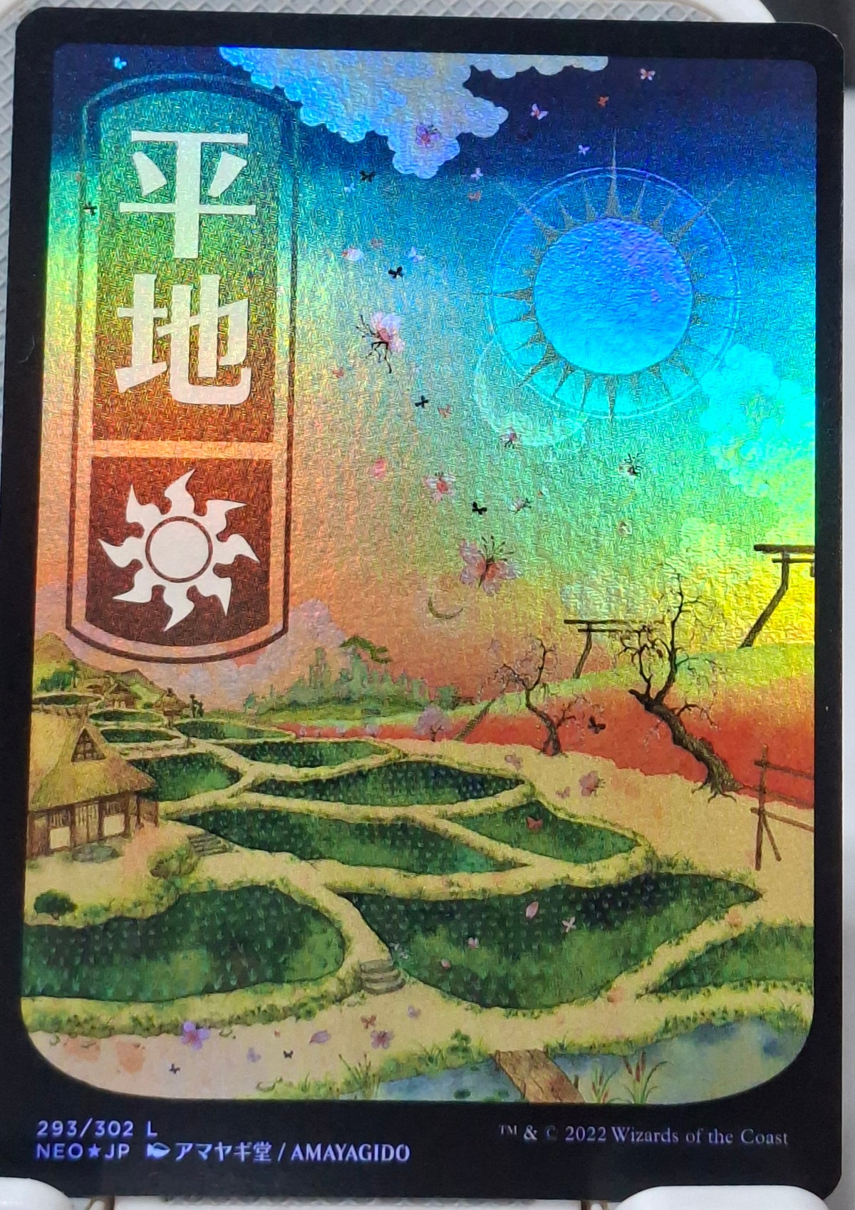 Plains