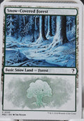Snow-Covered Forest