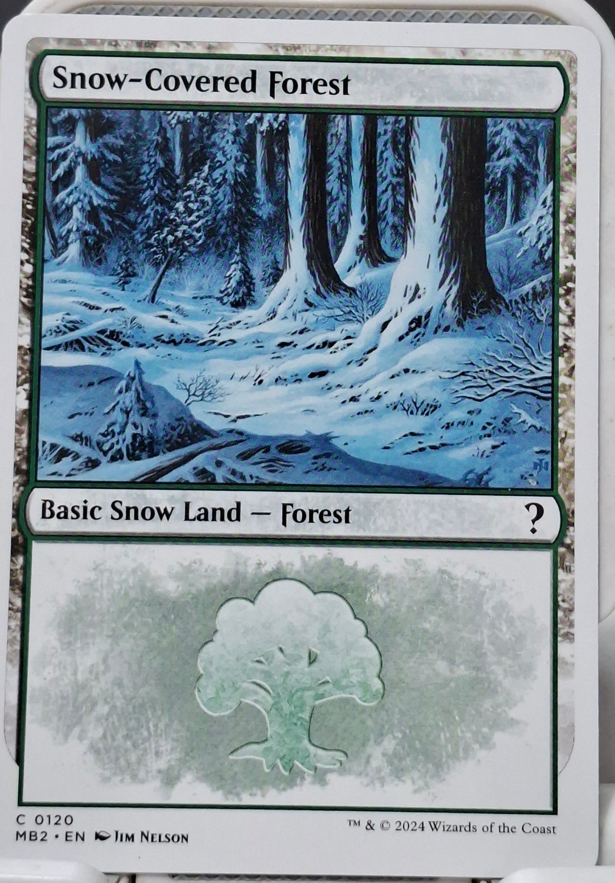 Snow-Covered Forest
