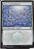 Snow-Covered Forest