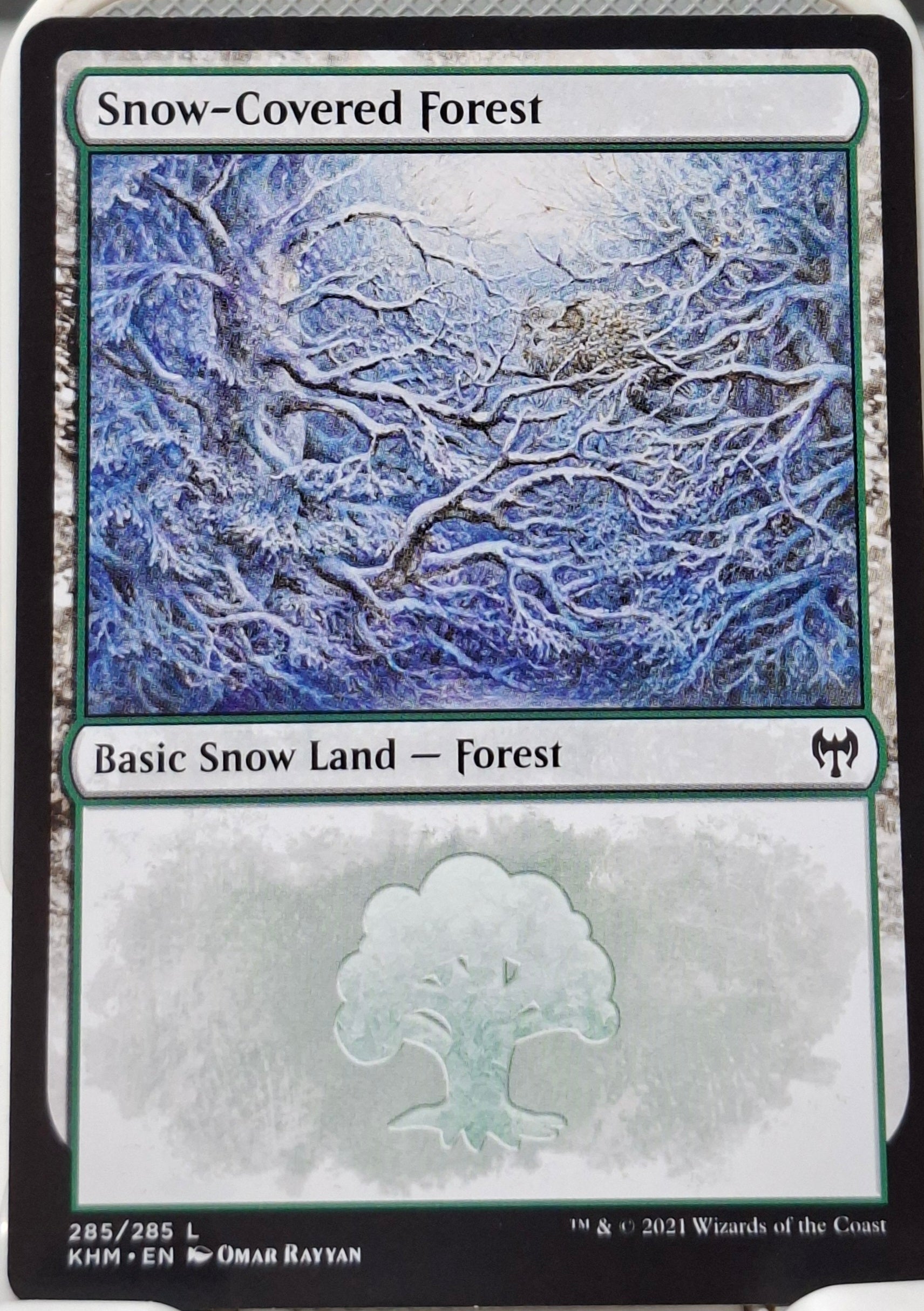 Snow-Covered Forest