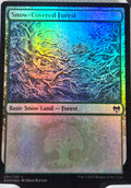Snow-Covered Forest