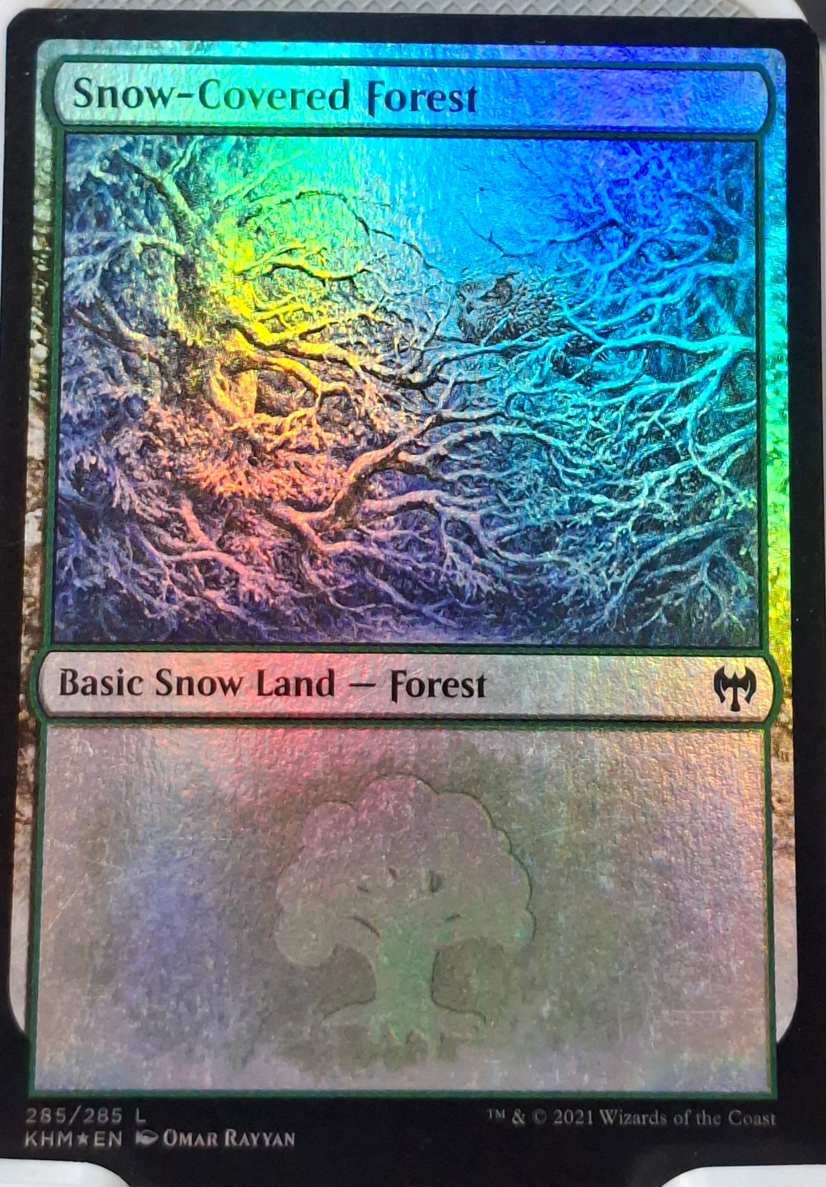 Snow-Covered Forest