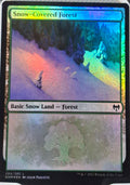 Snow-Covered Forest