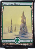 Snow-Covered Forest