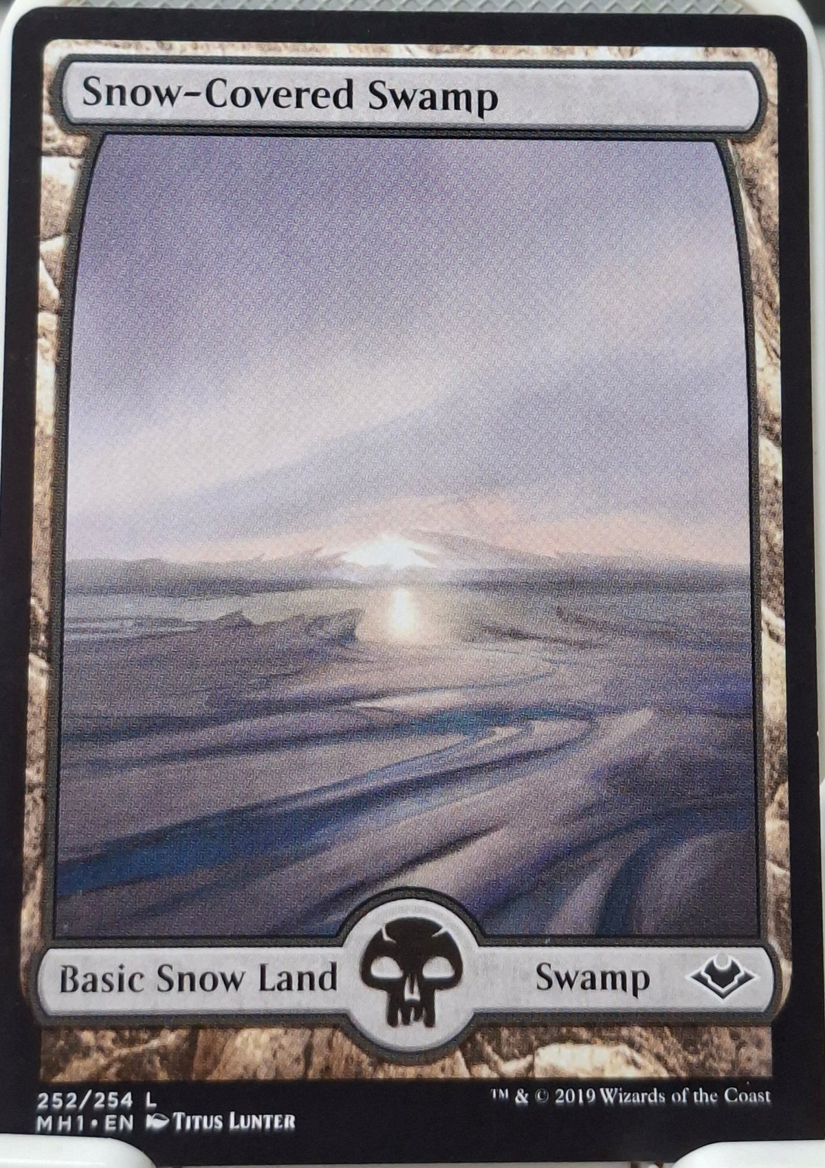 Snow-Covered Swamp