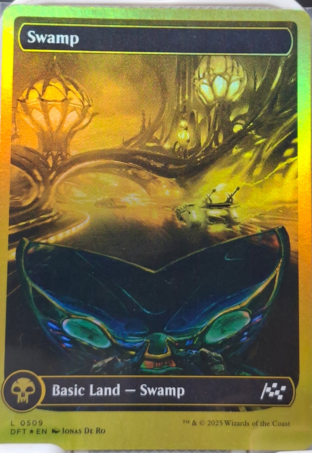 Swamp