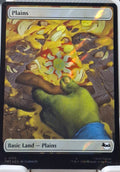 Plains
