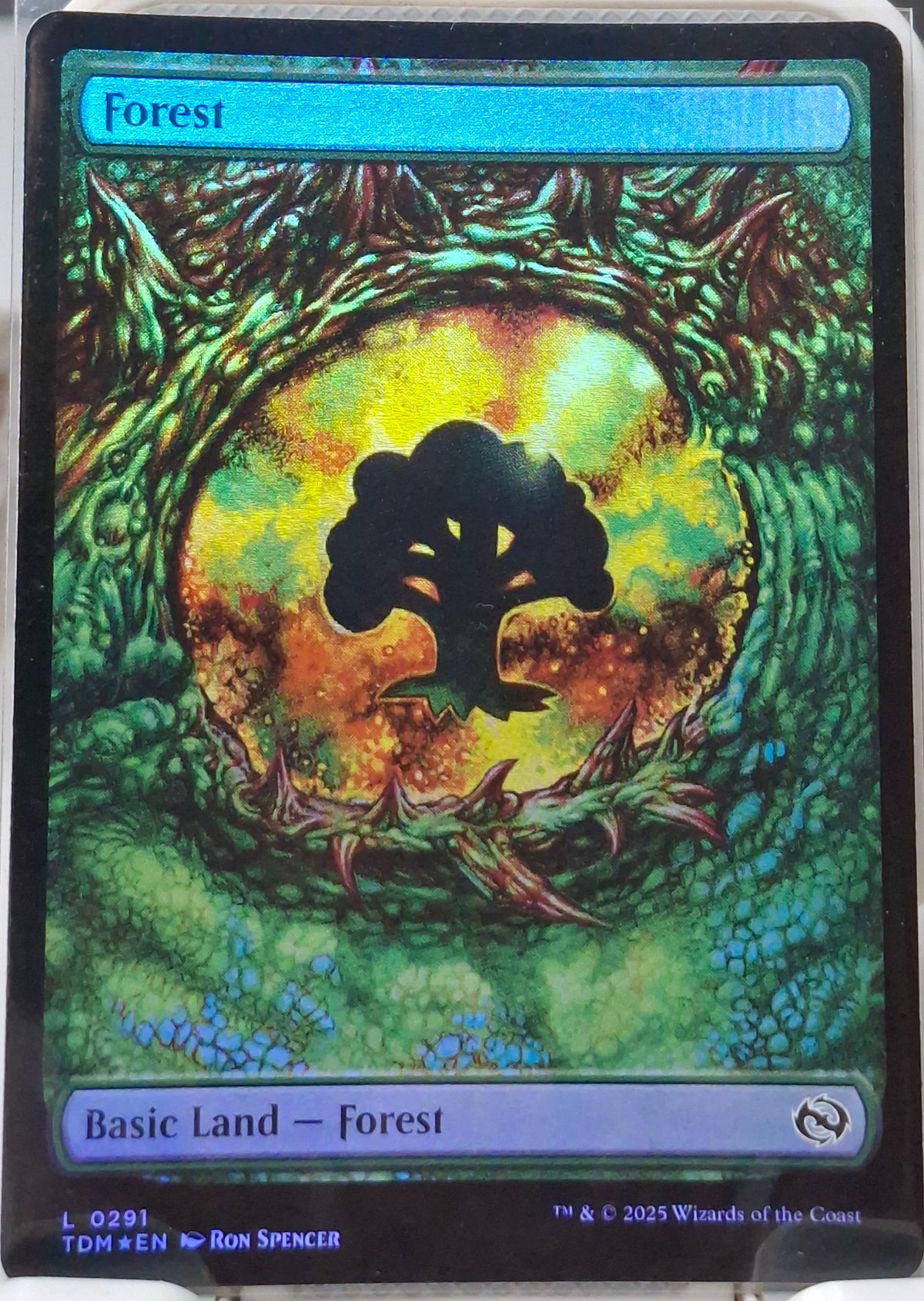 Forest