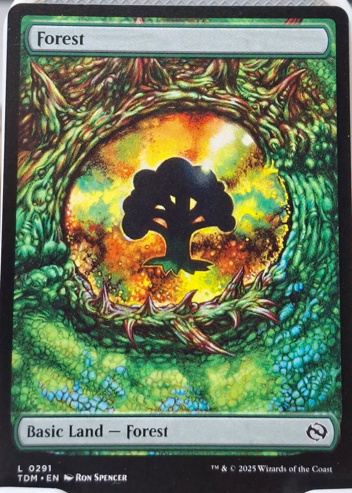 Forest