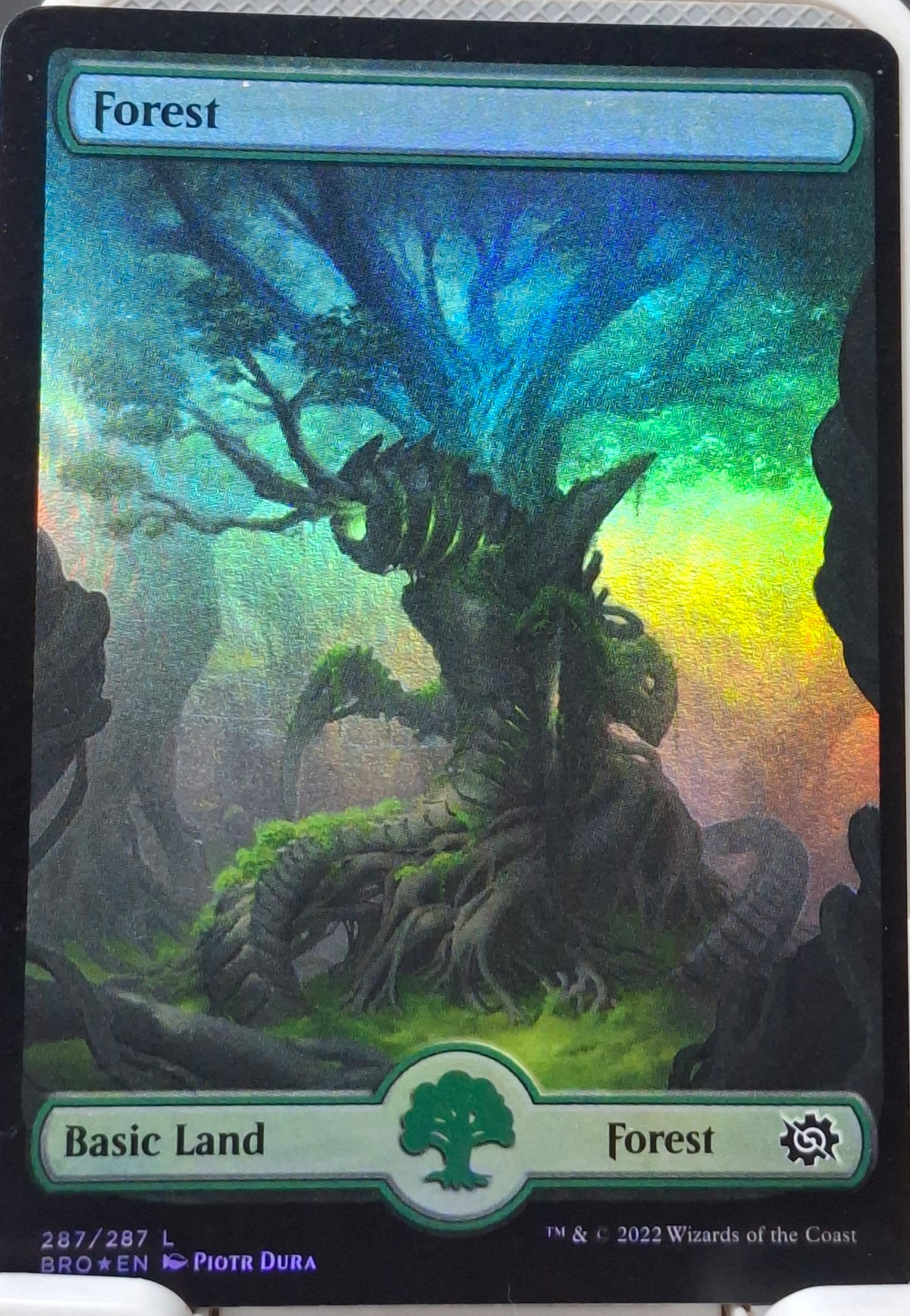 Forest