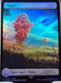 Plains
