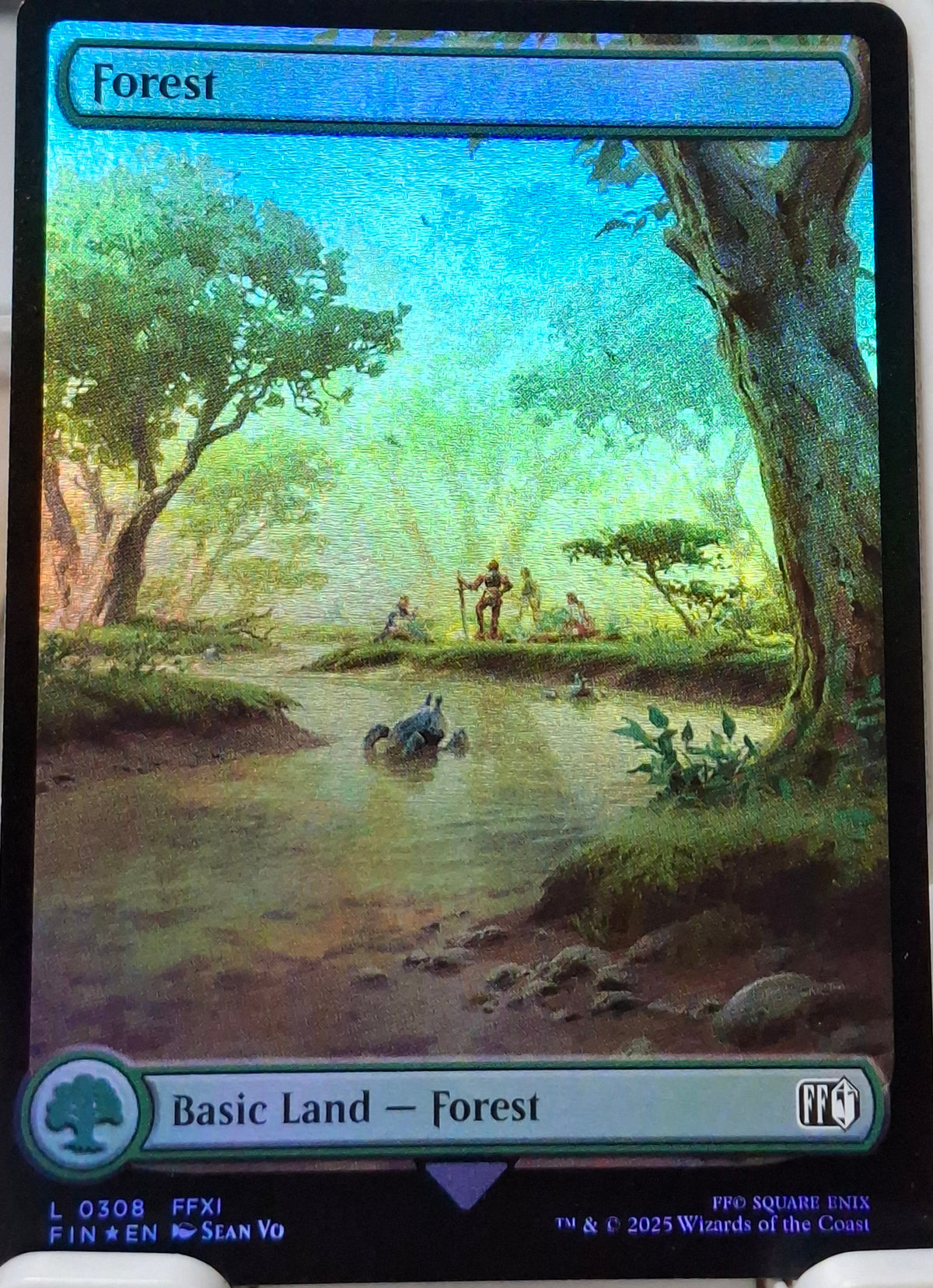 Forest