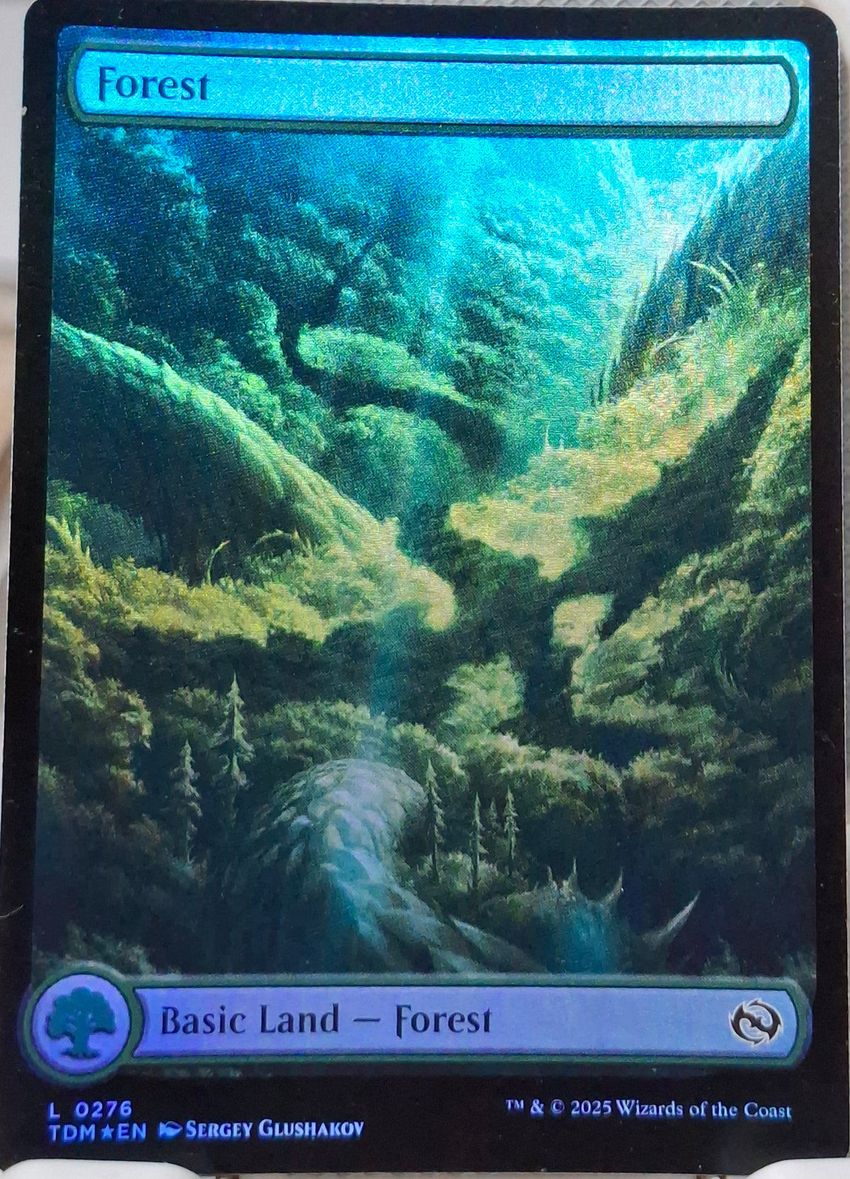 Forest