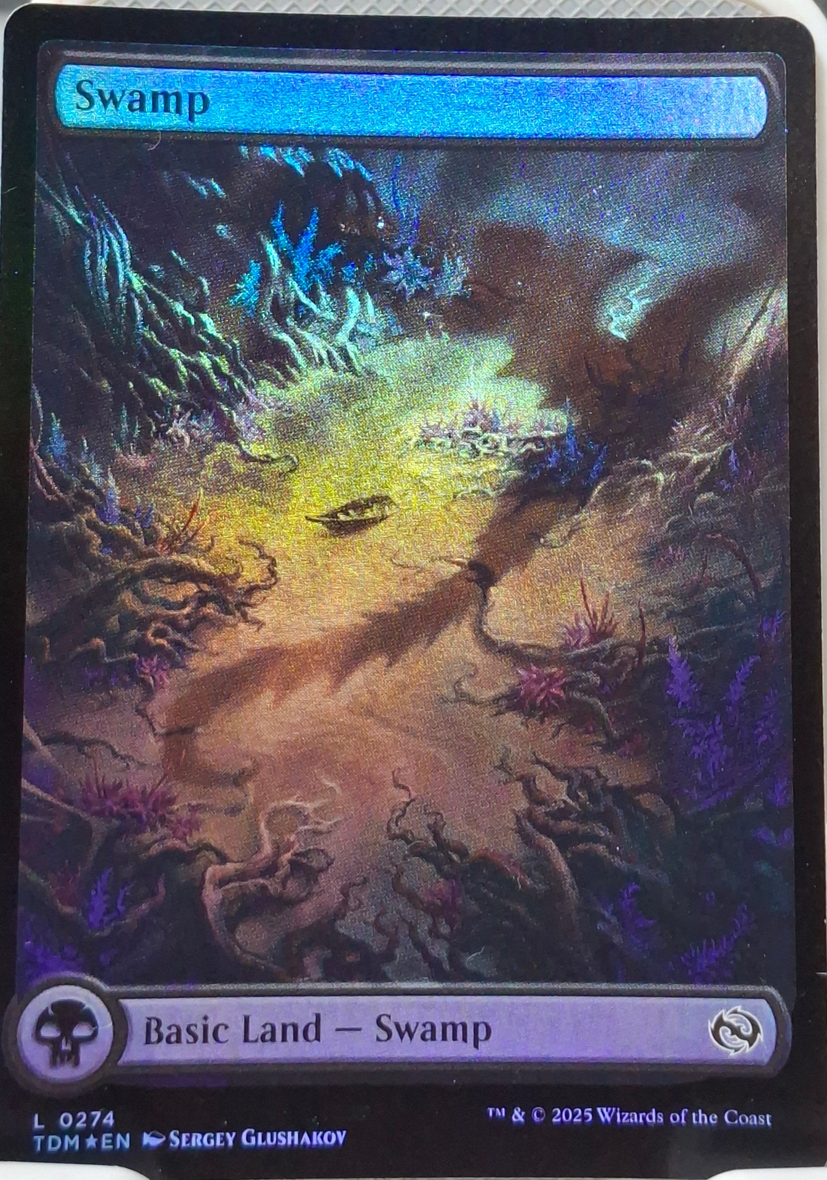 Swamp