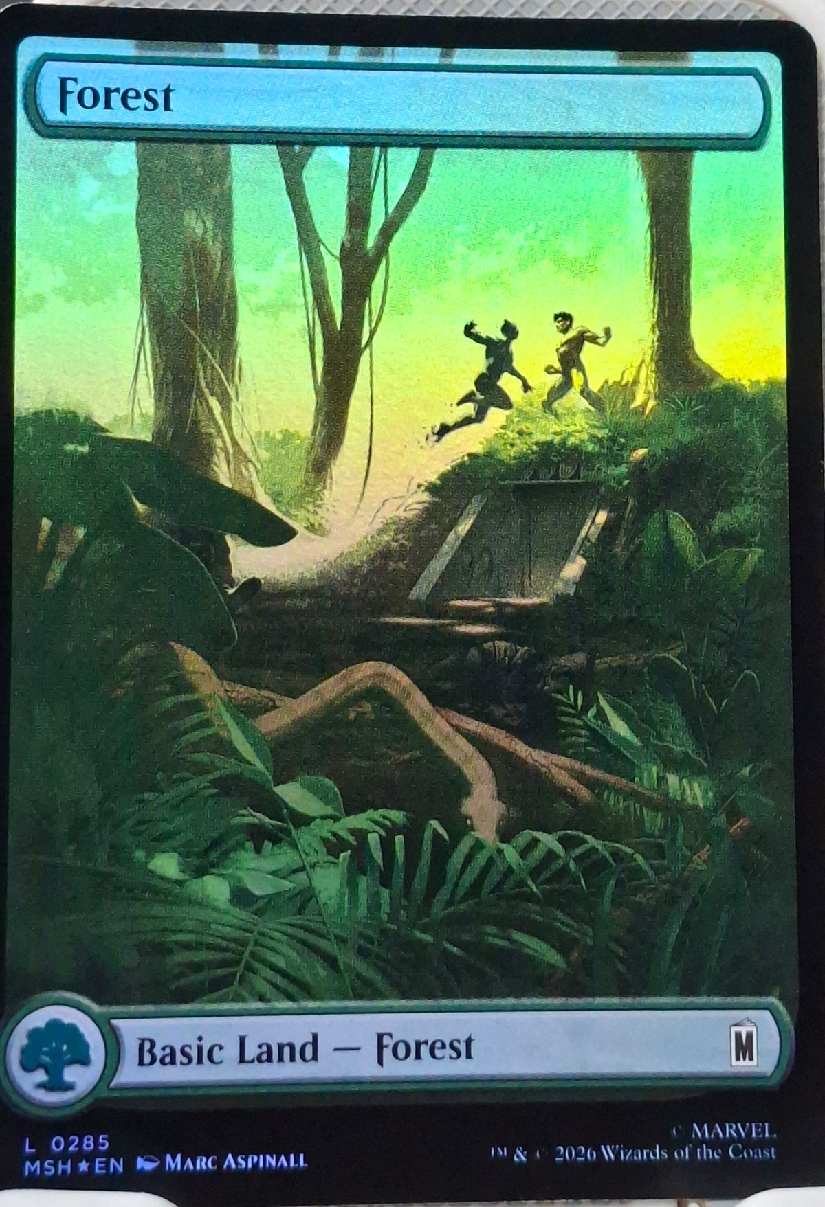 Forest