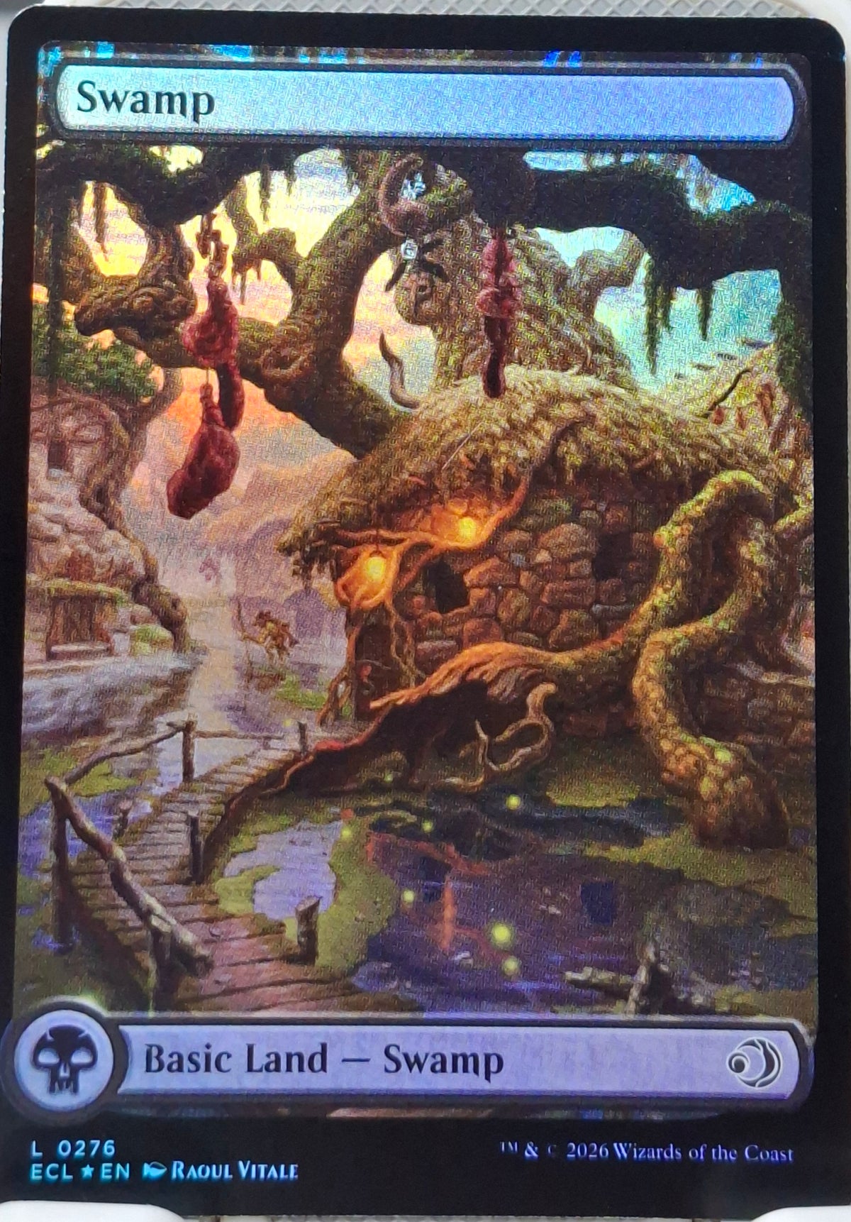 Swamp