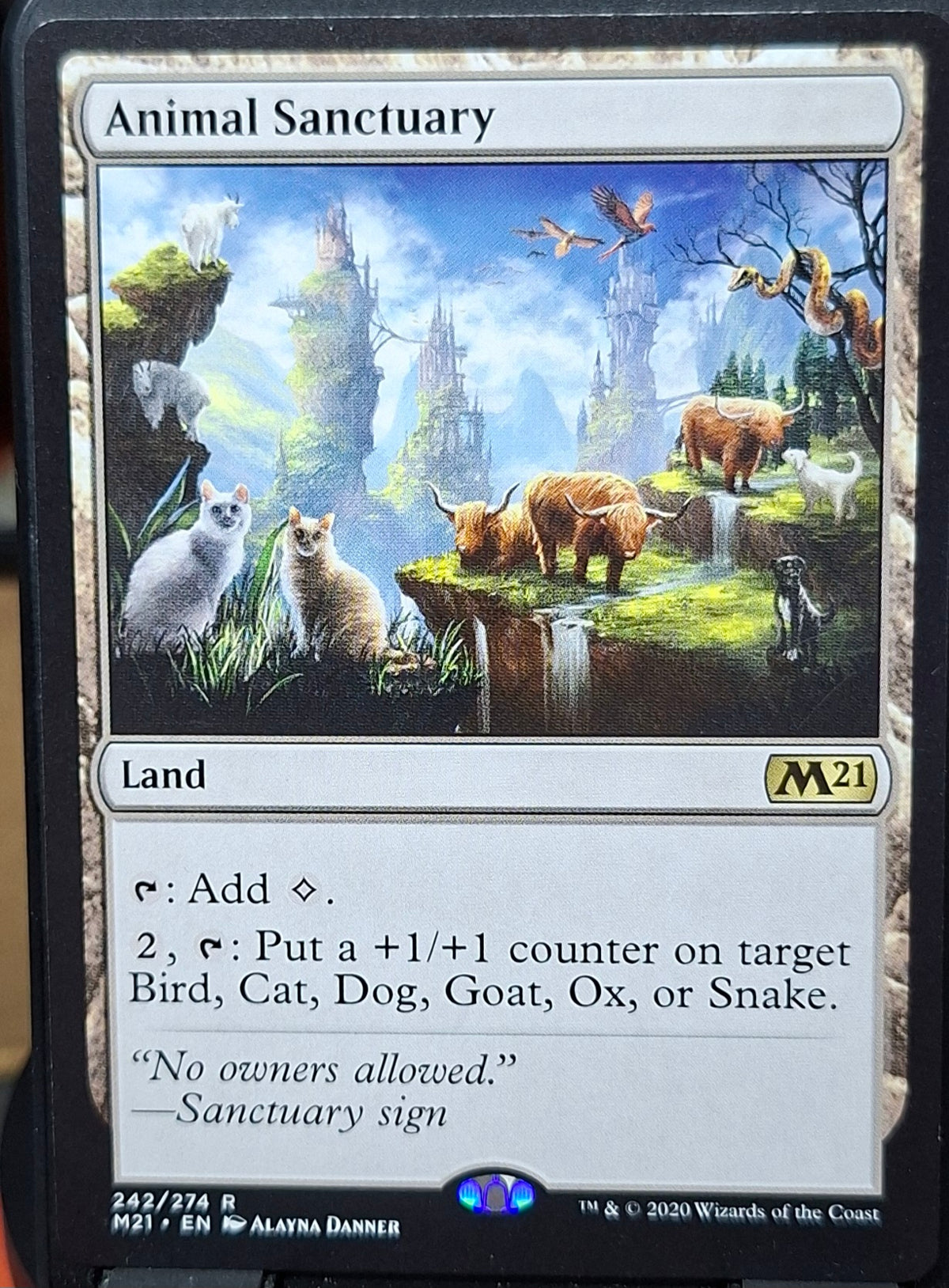 Animal Sanctuary