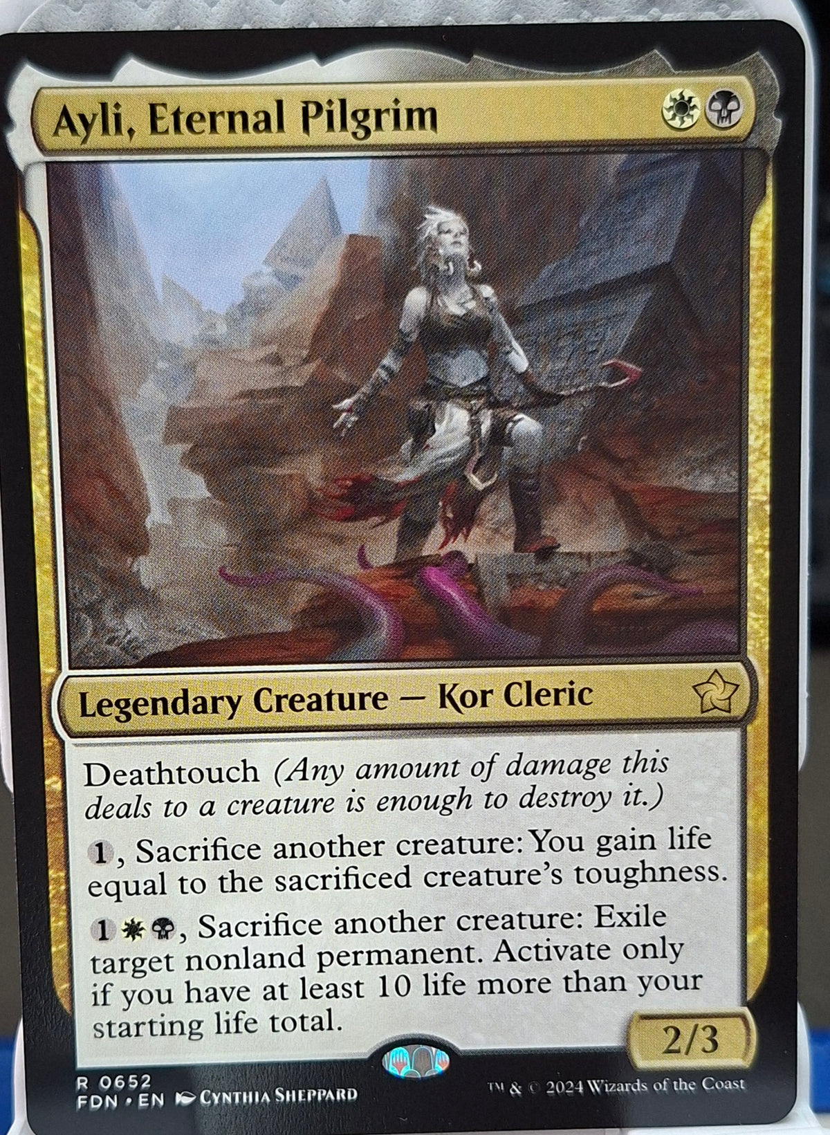 Ayli, Eternal Pilgrim