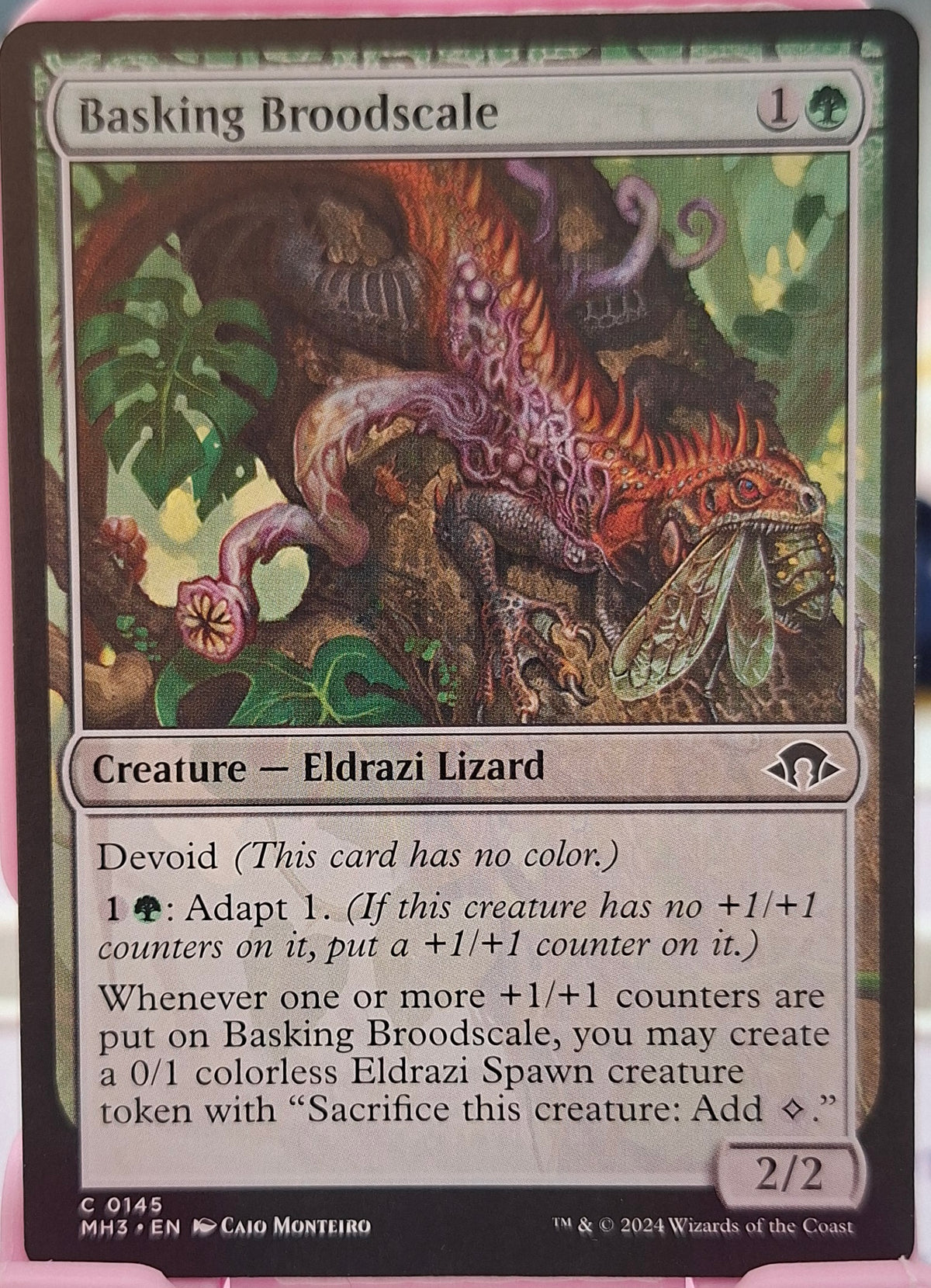 Basking Broodscale