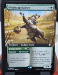 Brightcap Badger