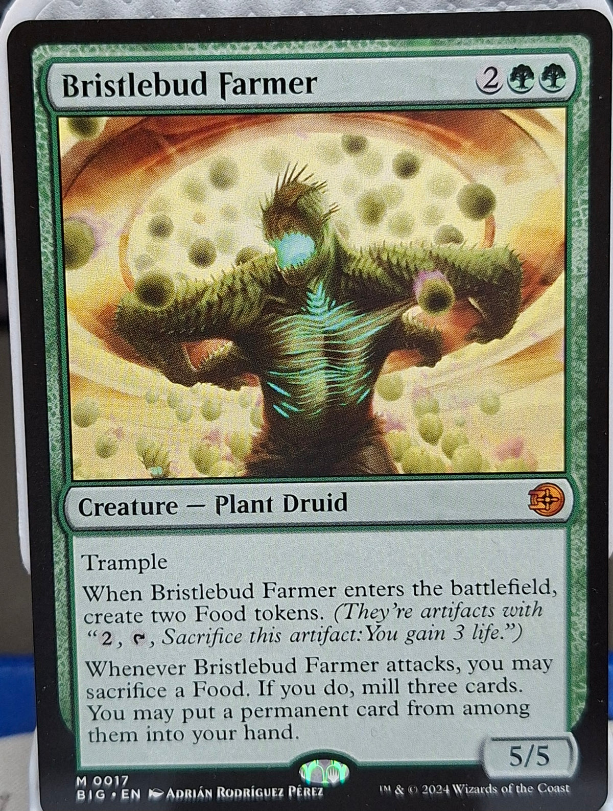 Bristlebud Farmer