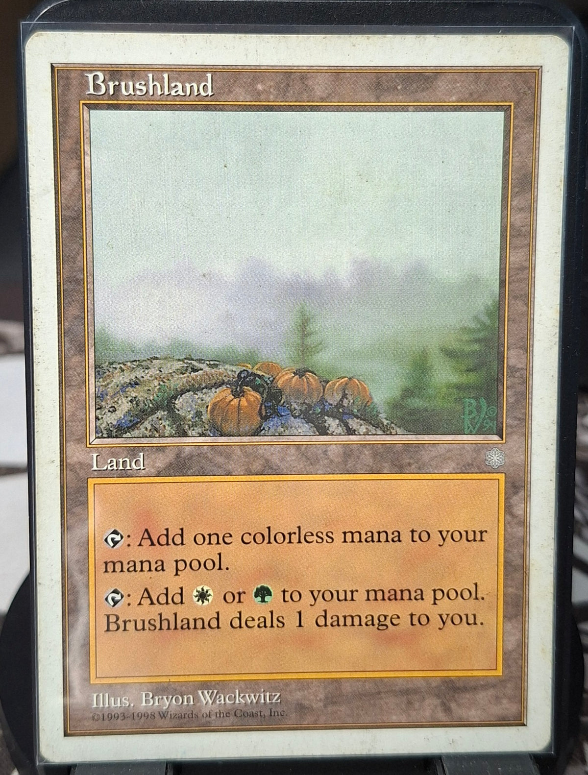Brushland