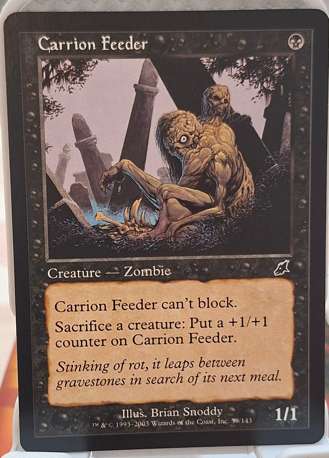 Carrion Feeder