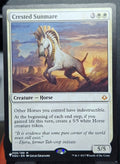 Crested Sunmare