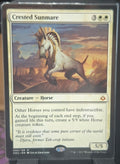 Crested Sunmare