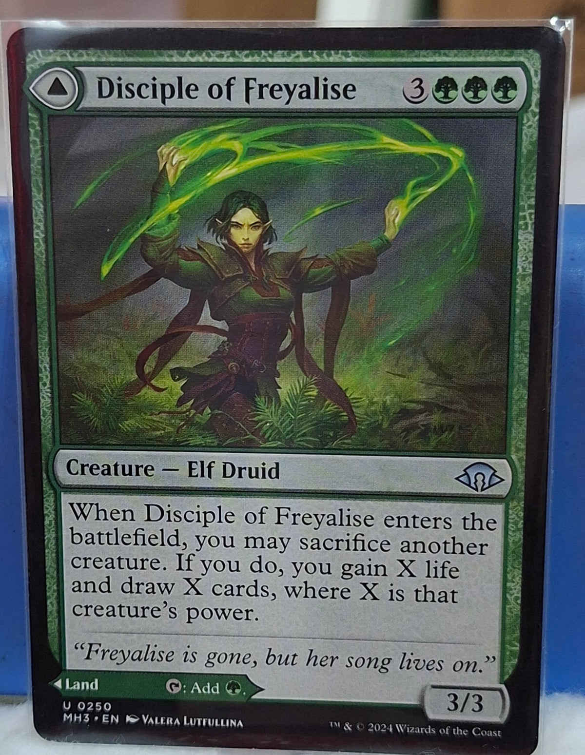 Disciple of Freyalise