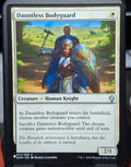 Dauntless Bodyguard