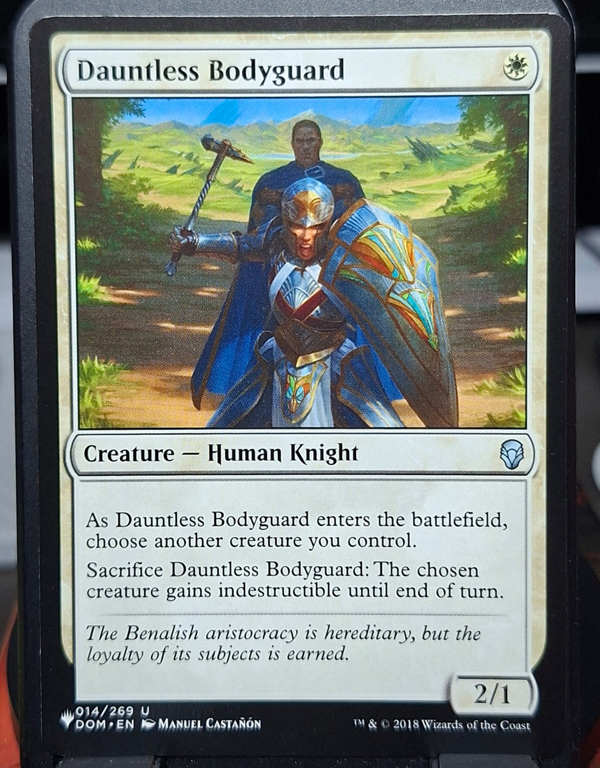 Dauntless Bodyguard