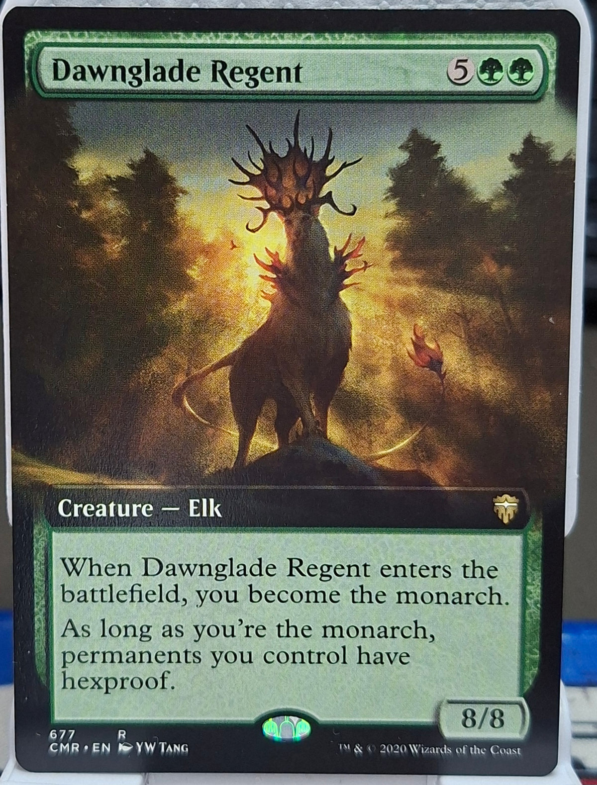 Dawnglade Regent