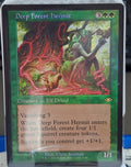 Deep Forest Hermit