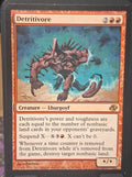 Detritivore
