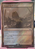 Dismal Backwater