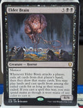 Elder Brain