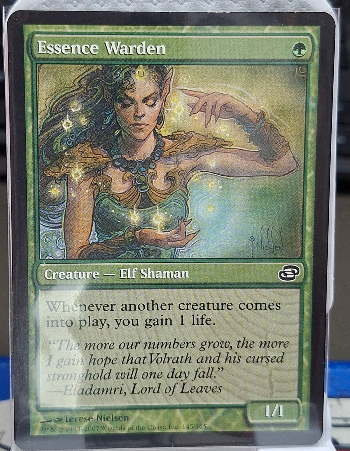 Essence Warden