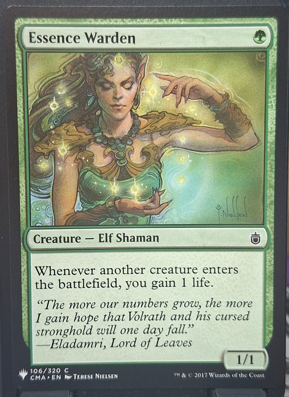 Essence Warden