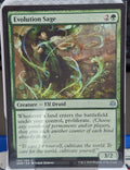 Evolution Sage