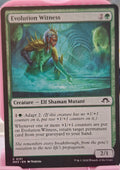 Evolution Witness