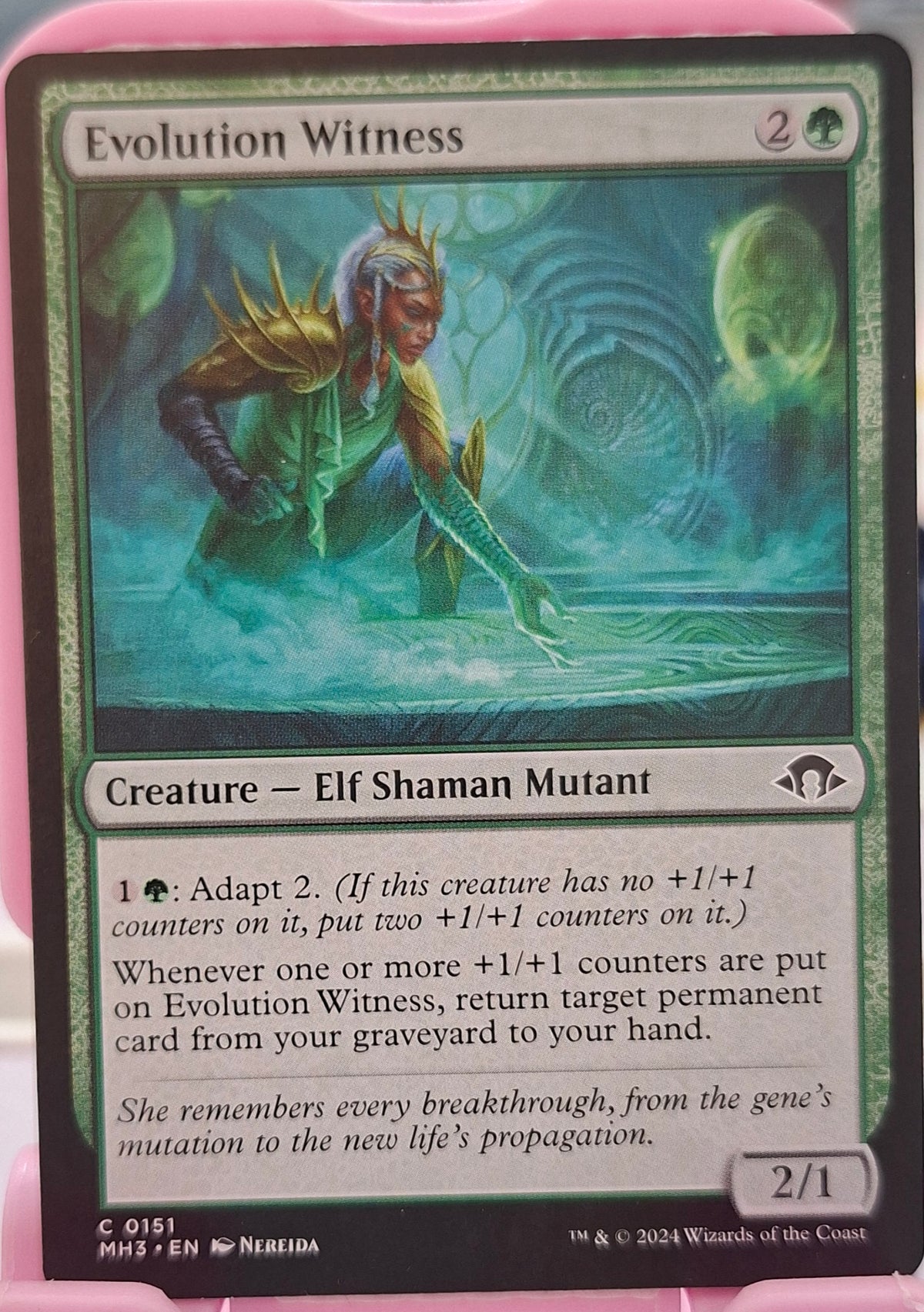 Evolution Witness