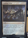 Evolving Wilds