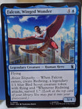 Falcon, Winged Wonder