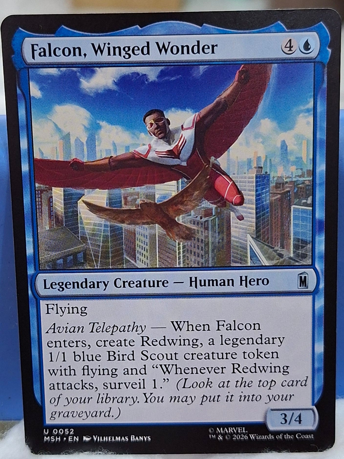 Falcon, Winged Wonder