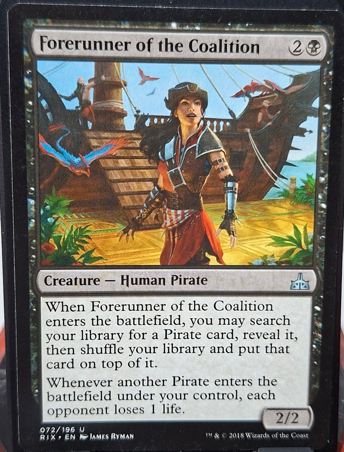 Forerunner of the Coalition