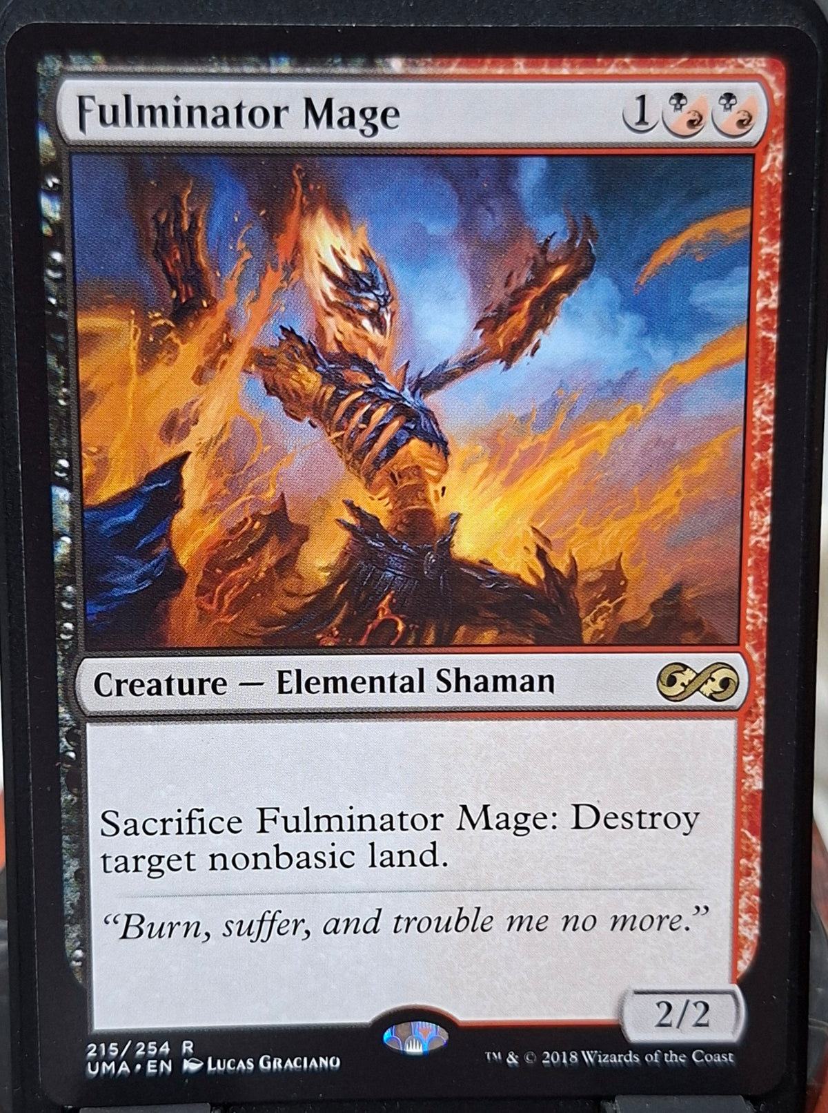 Fulminator Mage