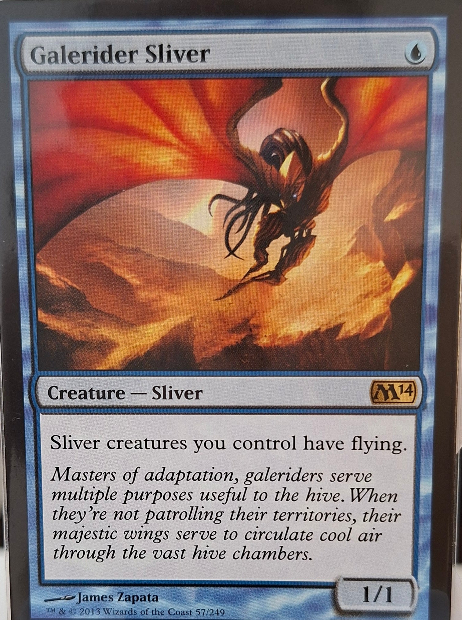 Galerider Sliver