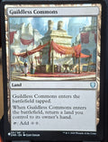 Guildless Commons